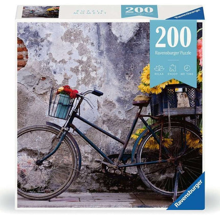 RAV 13305 Bicycle 200p