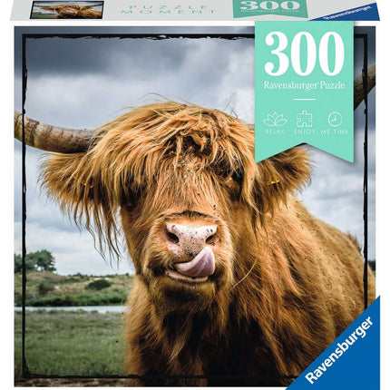 RAV 13273 Highland Cattle