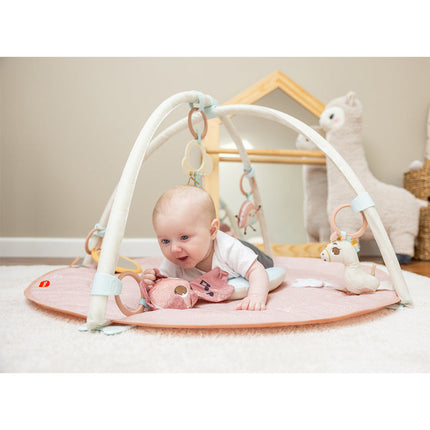 Unicorn Wonderlands Developmental Gymini