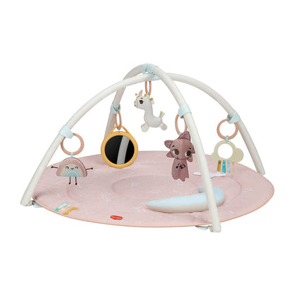 Unicorn Wonderlands Developmental Gymini