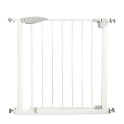 Puerta Seguridad SG002
