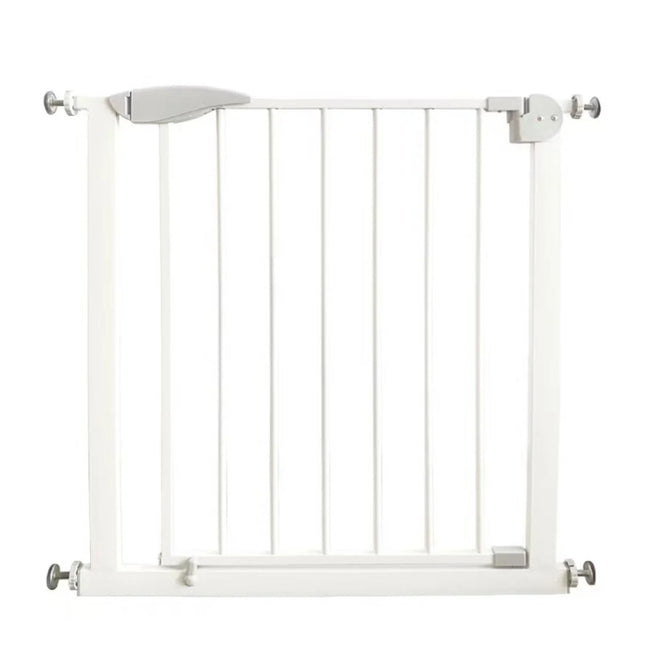 Puerta Seguridad SG002