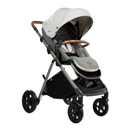 C AEREA SIGNATUR OYSTER