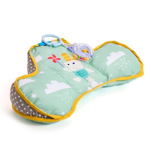 DEVELOPMENTAL PILLOW