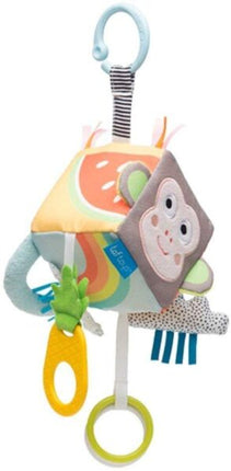 developmental cube