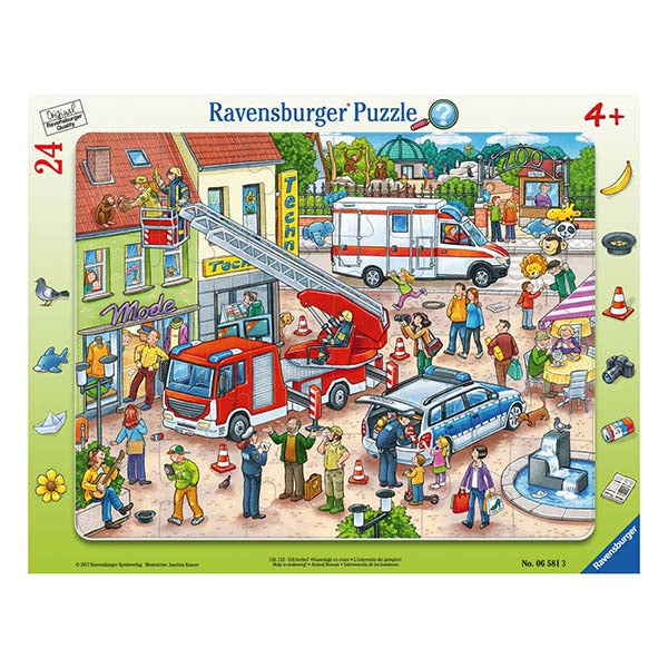 RAV 06581 Animal Rescue 24