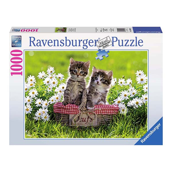 RAV 19480 Picnic 1000