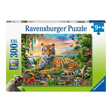 RAV 12896 Tiger at Sunset  300