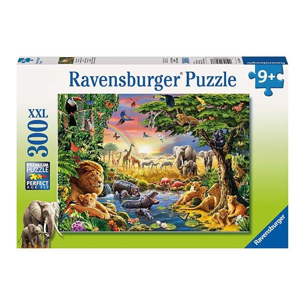 RAV 13073 Evening at the Waterhole 300
