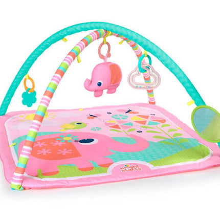 LITTLE LIONS & BIRDS AND BLOOMS ACTIVITY GYM