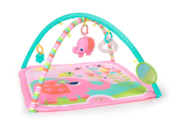 LITTLE LIONS & BIRDS AND BLOOMS ACTIVITY GYM