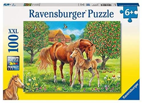 RAV 10577 Horses in the Field 100 XXL