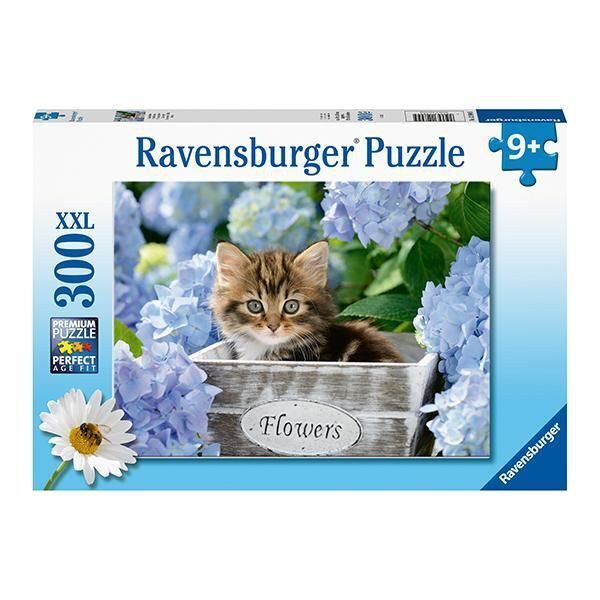 RAV 12894 Tortoiseshell Kitty 300