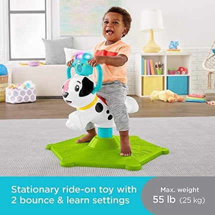 BOUNCE & SPIN DOG