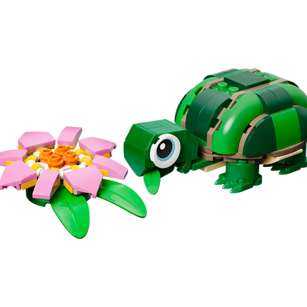 TORTUGA CON FLOR DE NENÚFAR