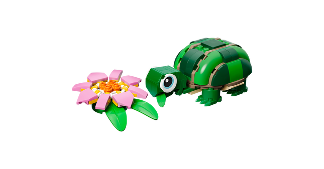 TORTUGA CON FLOR DE NENÚFAR