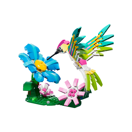 FAUNA SALVAJE: COLIBRÍ COLORIDO