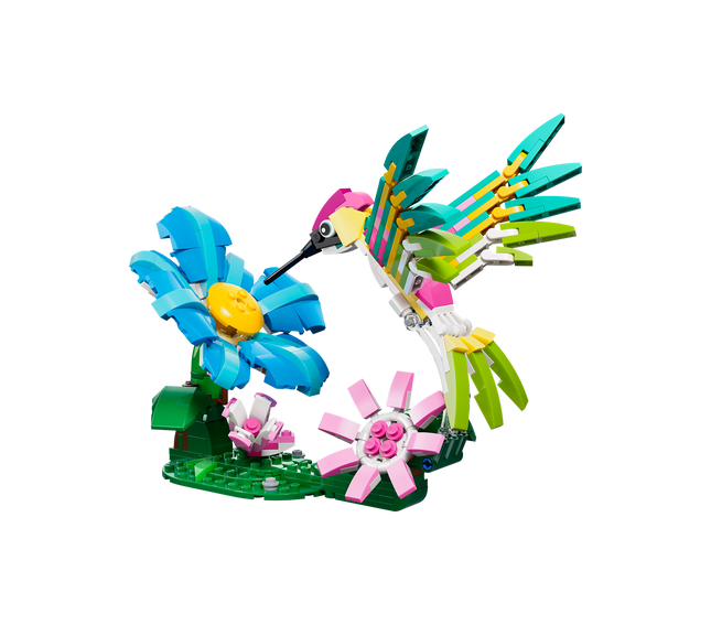 FAUNA SALVAJE: COLIBRÍ COLORIDO