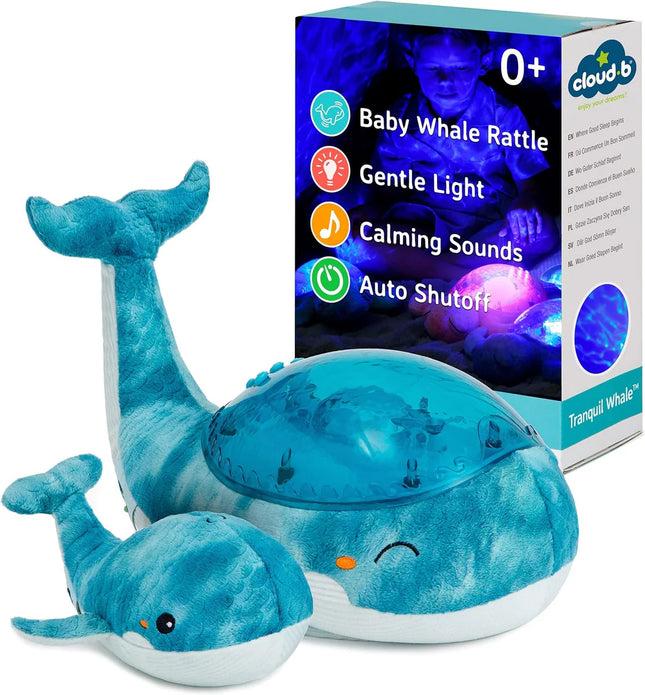 Familia Ballena Tranquil Azul