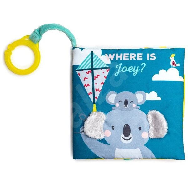 WHERE IS JOEY BOOK