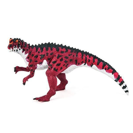 Ceratosaurus Nasicornis - pequeño