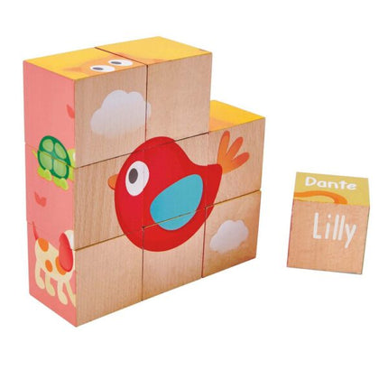 Puzzle 9 caras