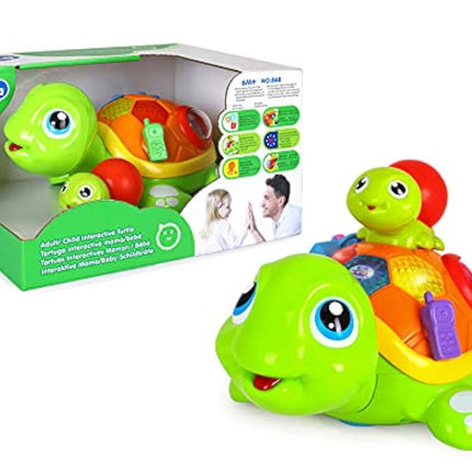 Tortuga Interactiva