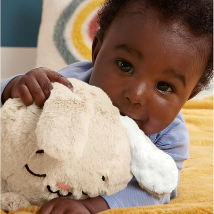 Fisher-Price Baby Juguete para Bebés Conejito Hora de Dormir para Recién Nacidos en adelante.