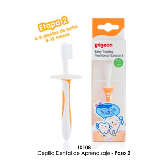 Cepillo dental de aprendizaje  etapa N° 2