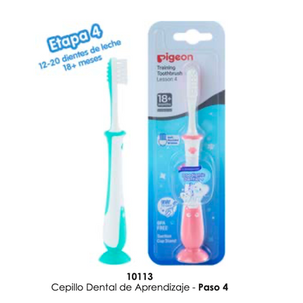 Cepillo Dental de Aprendizaje etapa N° 4