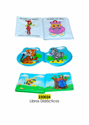 Libro didactico