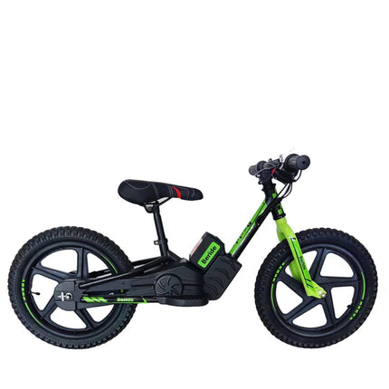 IBIKE HP121 16 VERDE