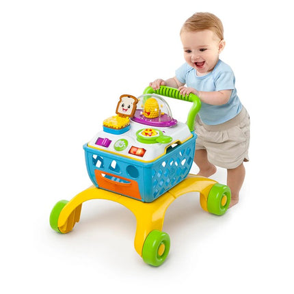 Andador Carrito De La Compra 4 En 1