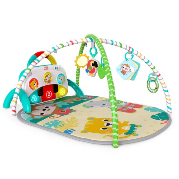 GIMNASIO SAFARI TROPICAL 4 EN 1