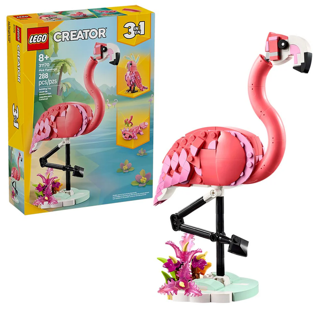 FAUNA SALVAJE: FLAMENCO ROSA