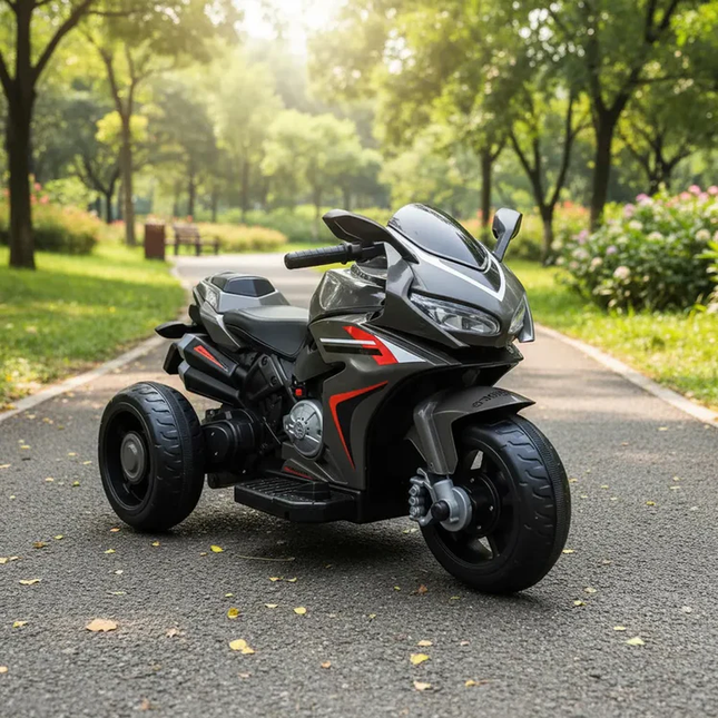 Trimoto BigTrail Gris