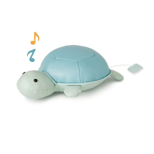 Emilia La Tortuga - Animales Musicales