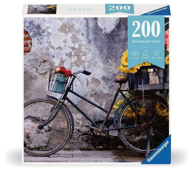 RAV 13305 Bicycle 200p