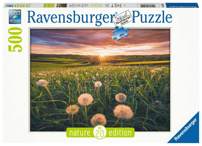 RAV 16990 Pusteblumen im Sonnenunt. 500p
