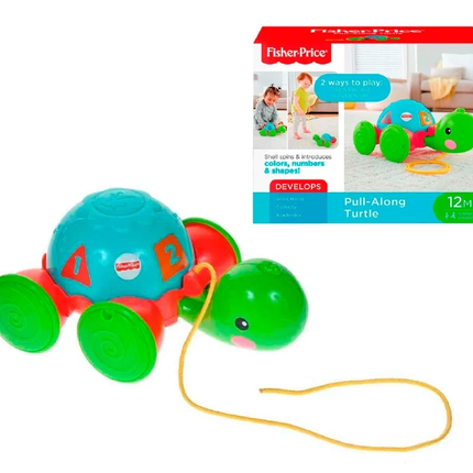 LAT FP PULL-ALONG TURTLE
