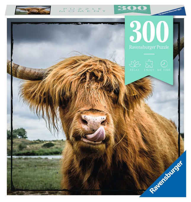 RAV 13273 Highland Cattle