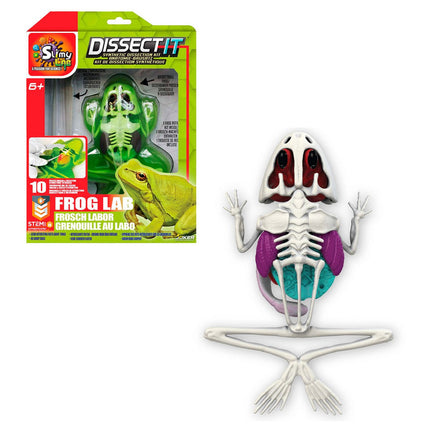 JUEGO DISECCION ESQUELETO CON SLIME FORMULA ORIGINAL