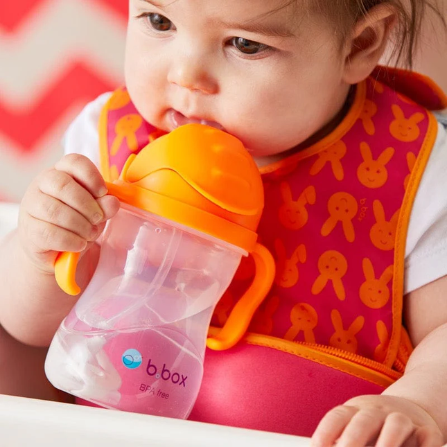 Vaso Sippy Orange Zig