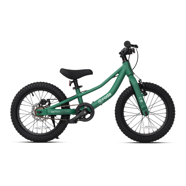 BICICLETA PRO ALUMINIO
ARO 16
 VERDE
