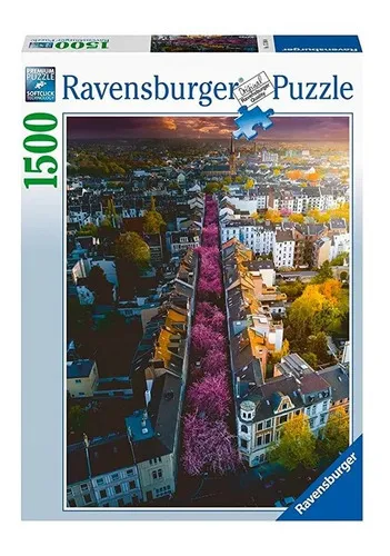 RAV 17104 BlUhendes Bonn 1500p