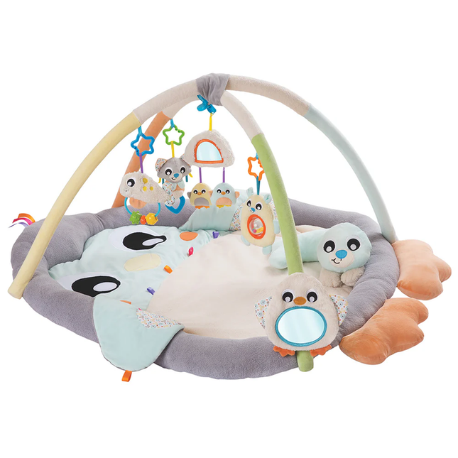 GIMNASIO ACURRUCAME PINGÜINO