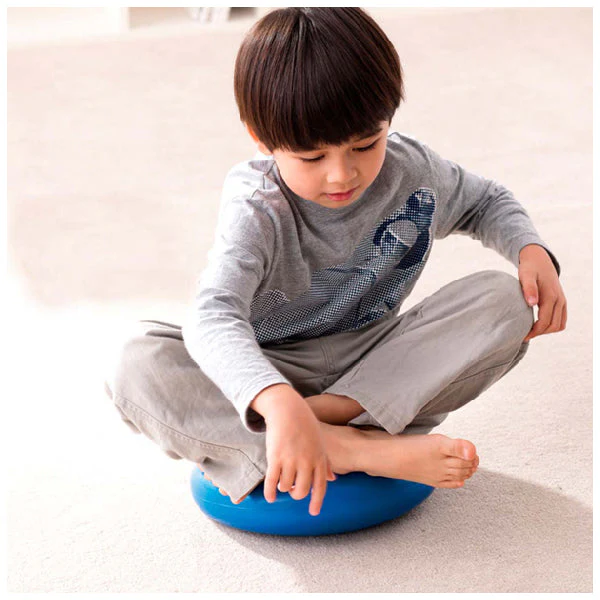 WP KT4303 AIR CUSHION 30 CM