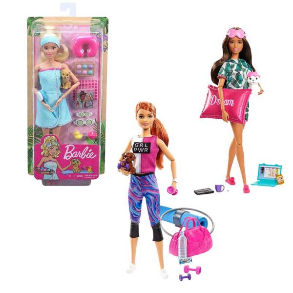 LAT BRB BARBIE WELLNESS DOLL ASST. (3)