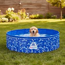 Piscina/Bañera Perro