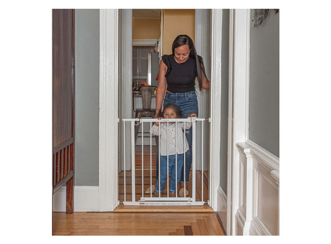 PUERTA DE SEGURIDAD